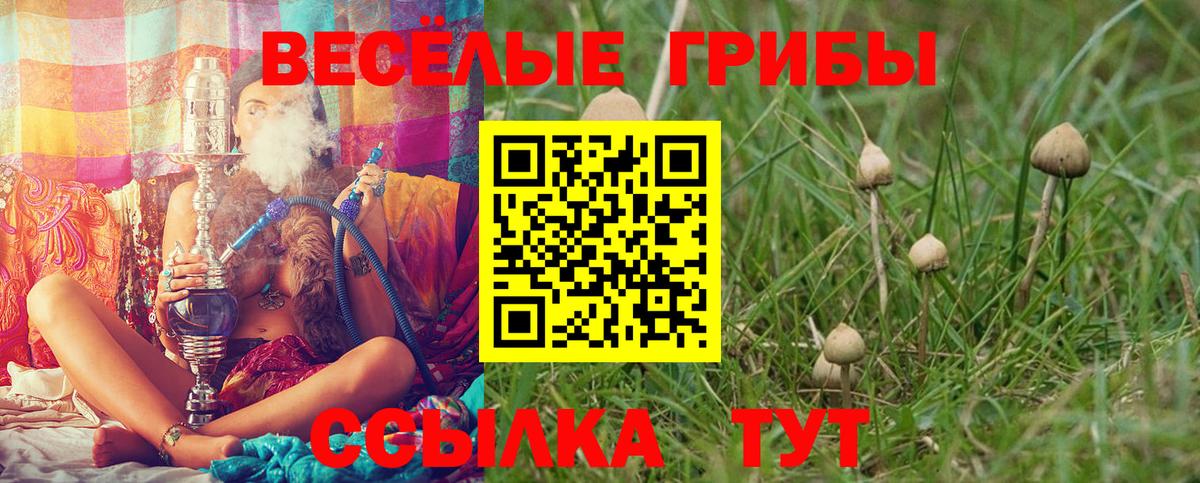 Галлюциногенные грибы Magic Shrooms Алапаевск