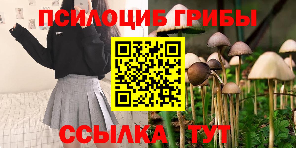 Алапаевск  Псилоцибиновые грибы MAGIC MUSHROOMS  Вход с VPN 